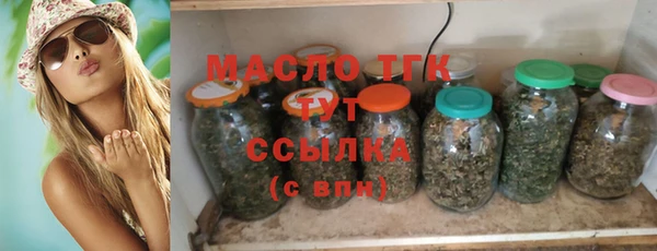 индика Карталы