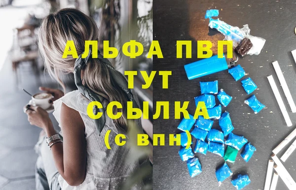 стаф Карпинск