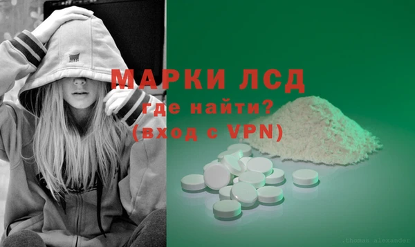 индика Карталы