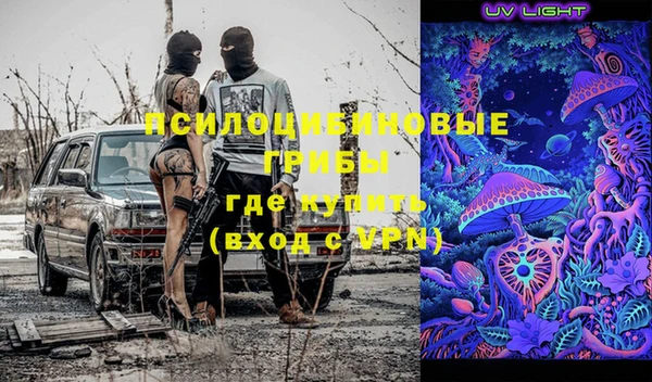 стаф Карпинск