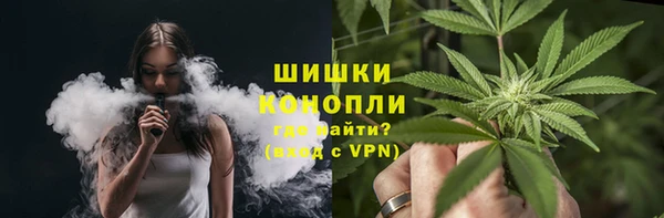индика Карталы