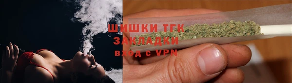 индика Карталы
