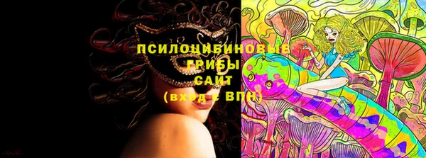 стаф Карпинск