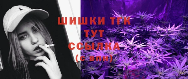 индика Карталы
