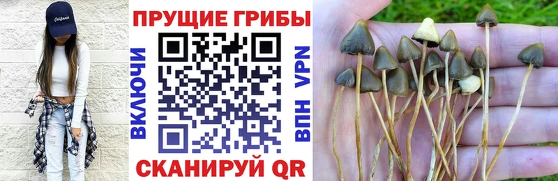 Псилоцибиновые грибы Magic Shrooms  Купить закладки  Пыть-Ях 